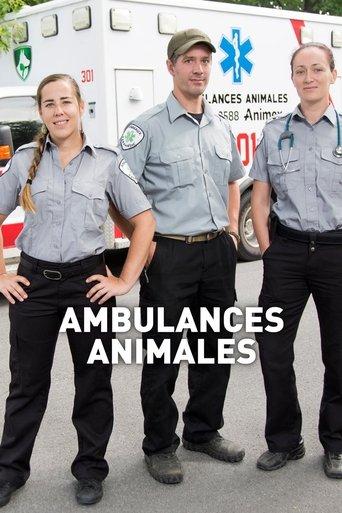 Ambulances animales dizi afişi
