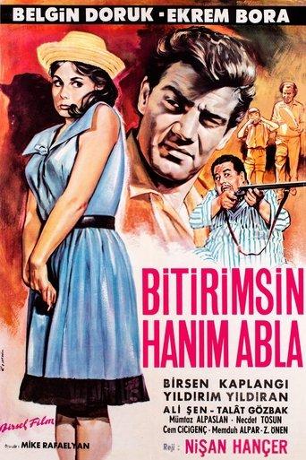 Bitirimsin Hanım Abla film afişi