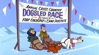 The Fastest Bear In The North