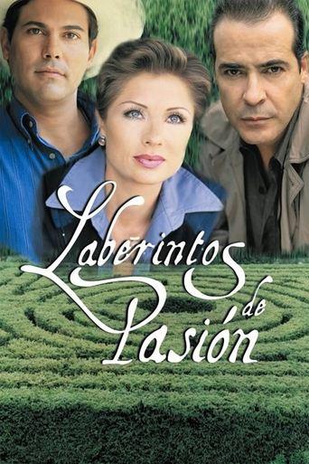 Labyrinth of Passion dizi afişi