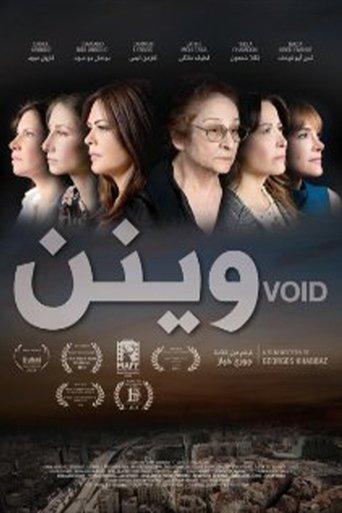 Void film afişi