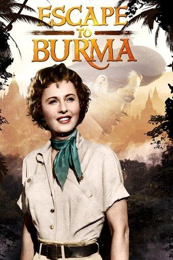 Escape to Burma film afişi