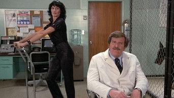 Murder is Man's Best Friend