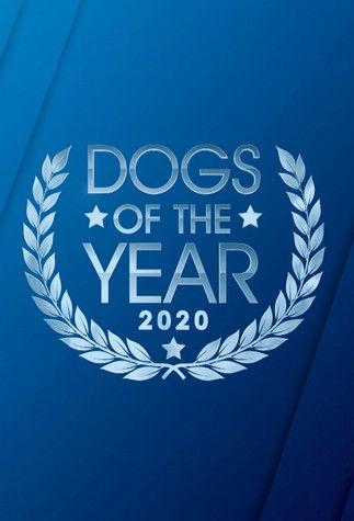 Dogs of the Year dizi afişi