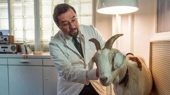 The Miracle of Wolbeck