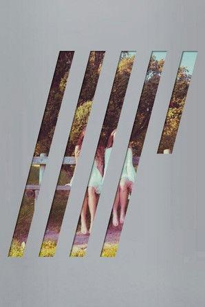 Steven Wilson: 4 ½ film afişi