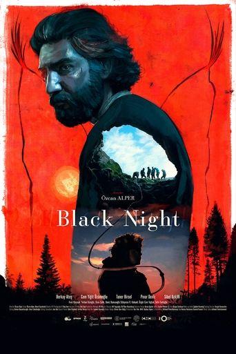 Black Night film afişi
