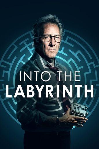 Into the Labyrinth film afişi