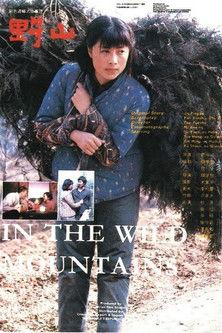In the Wild Mountains film afişi