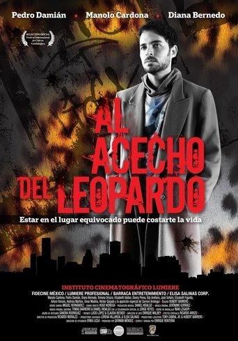 Al acecho del leopardo film afişi