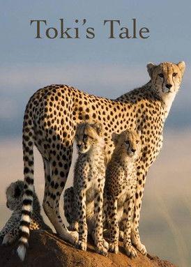 Toki's Tale film afişi