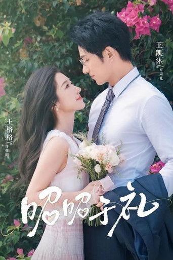 昭昭于礼 dizi afişi