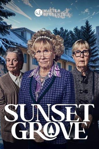 Sunset Grove dizi afişi