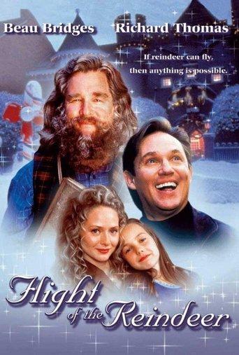 The Christmas Secret film afişi