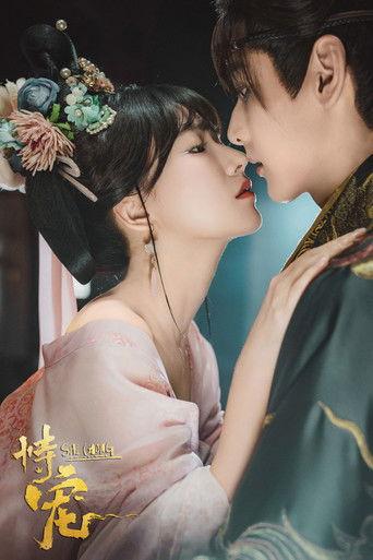 Shi Chong dizi afişi