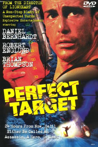 Perfect Target film afişi