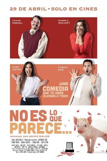 No es lo que parece film afişi