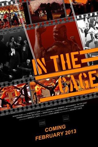 In the Cage film afişi