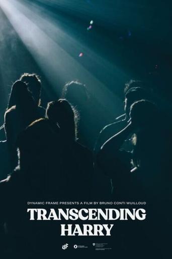 Transcending Harry film afişi