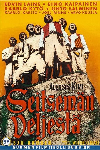 Seitsemän veljestä film afişi