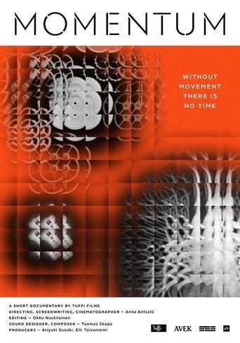 Momentum film afişi
