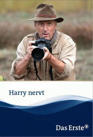 Harry nervt film afişi