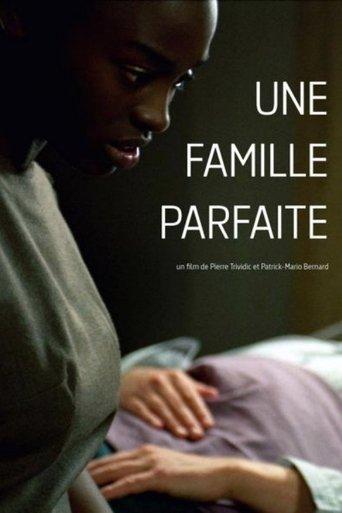 Une famille parfaite film afişi
