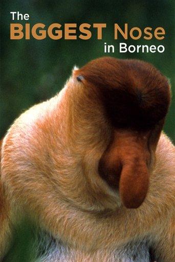 The Biggest Nose in Borneo film afişi