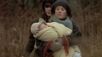 When The Bough Breaks