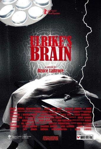 Ulrike's Brain film afişi