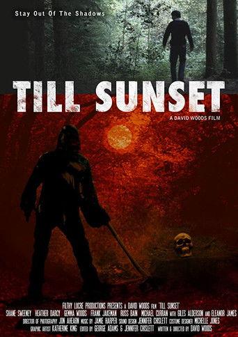 Till Sunset film afişi