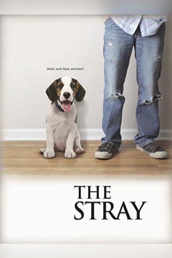 The Stray film afişi