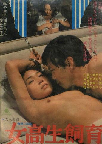 Victimized film afişi