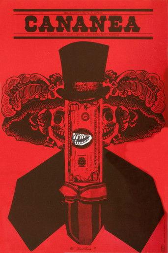 Cananea film afişi
