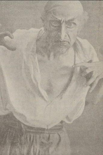 A Terrible Revenge film afişi