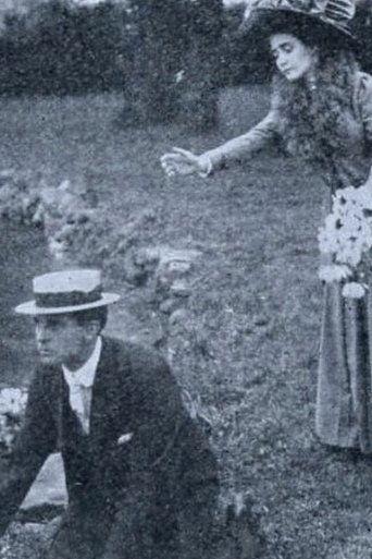 Water Lilies film afişi