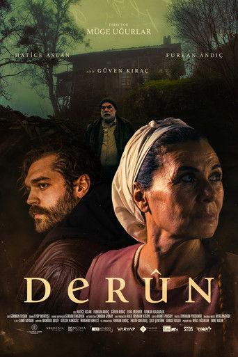 Derûn film afişi