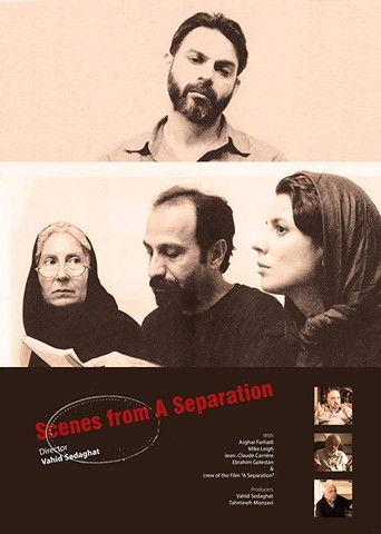 Scenes from A Separation film afişi