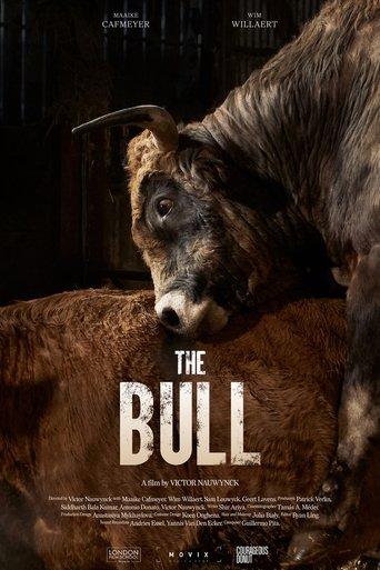 The Bull film afişi