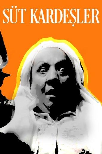 The Foster Brothers film afişi