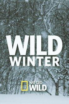 Wild Winter film afişi