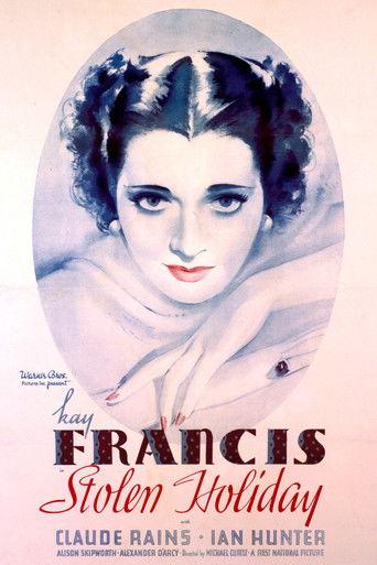 Stolen Holiday film afişi