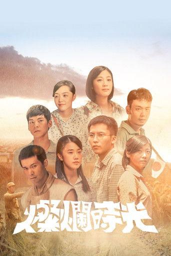 燦爛時光 dizi afişi