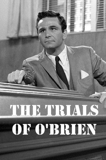 The Trials of O'Brien dizi afişi