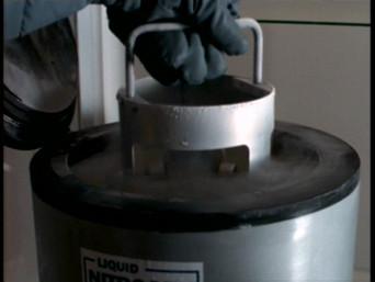 Behind the truth - The Erlenmeyer flask