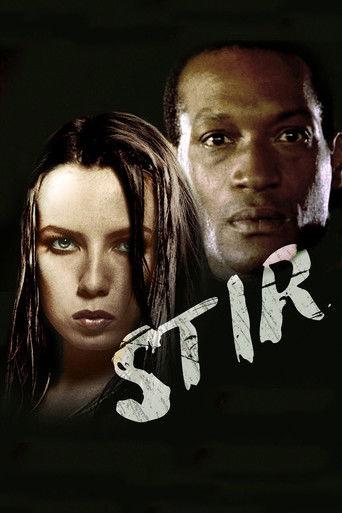 Stir film afişi