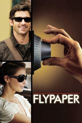 Flypaper film afişi