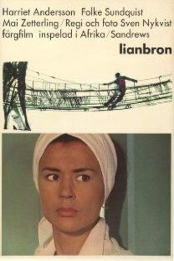 Lianbron film afişi