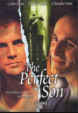 The Perfect Son film afişi