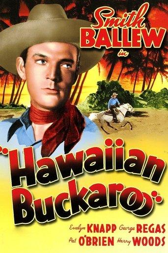 Hawaiian Buckaroo film afişi